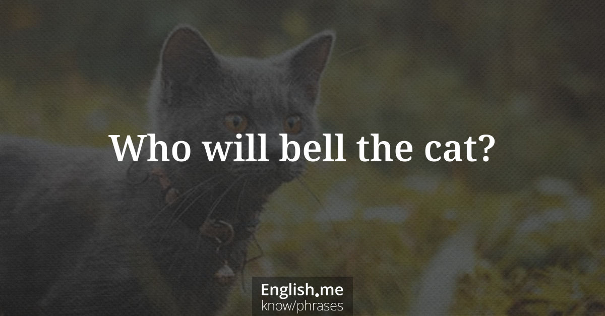 Who will bell the cat?